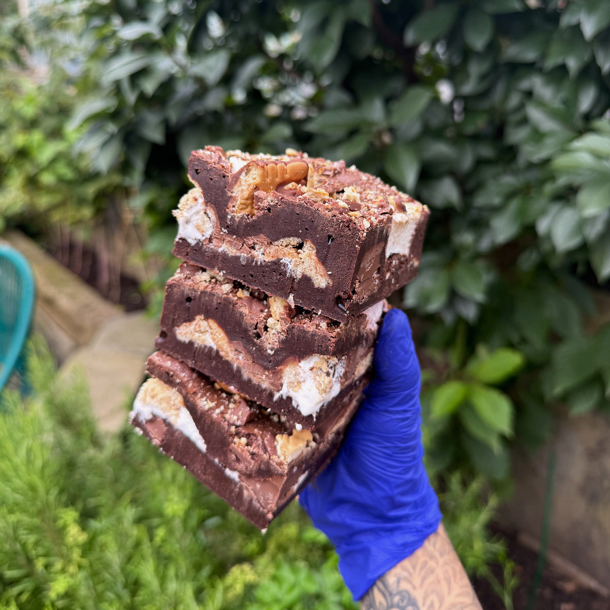 S'Mores Brownie