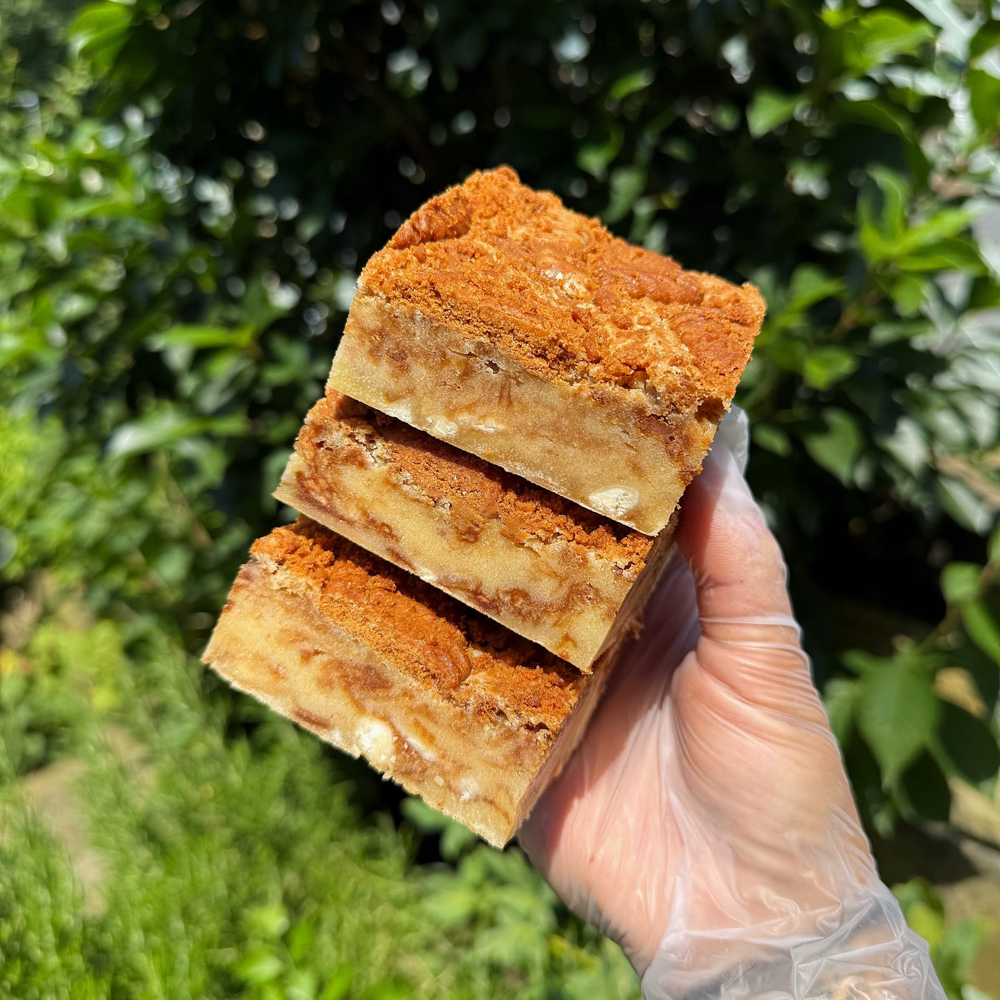 Biscoff Blondie