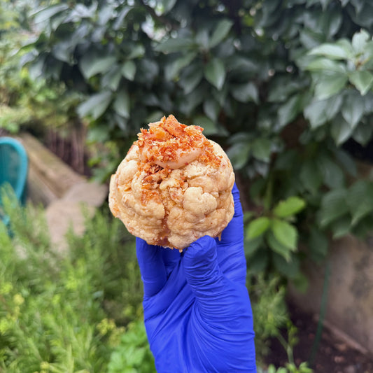 Honey Butter Croissant Cookie