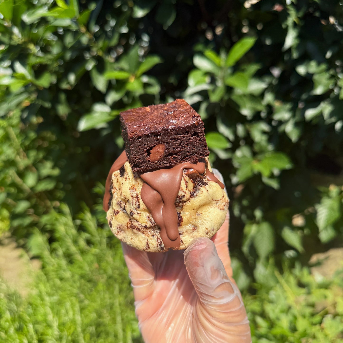 Brookie Cookie