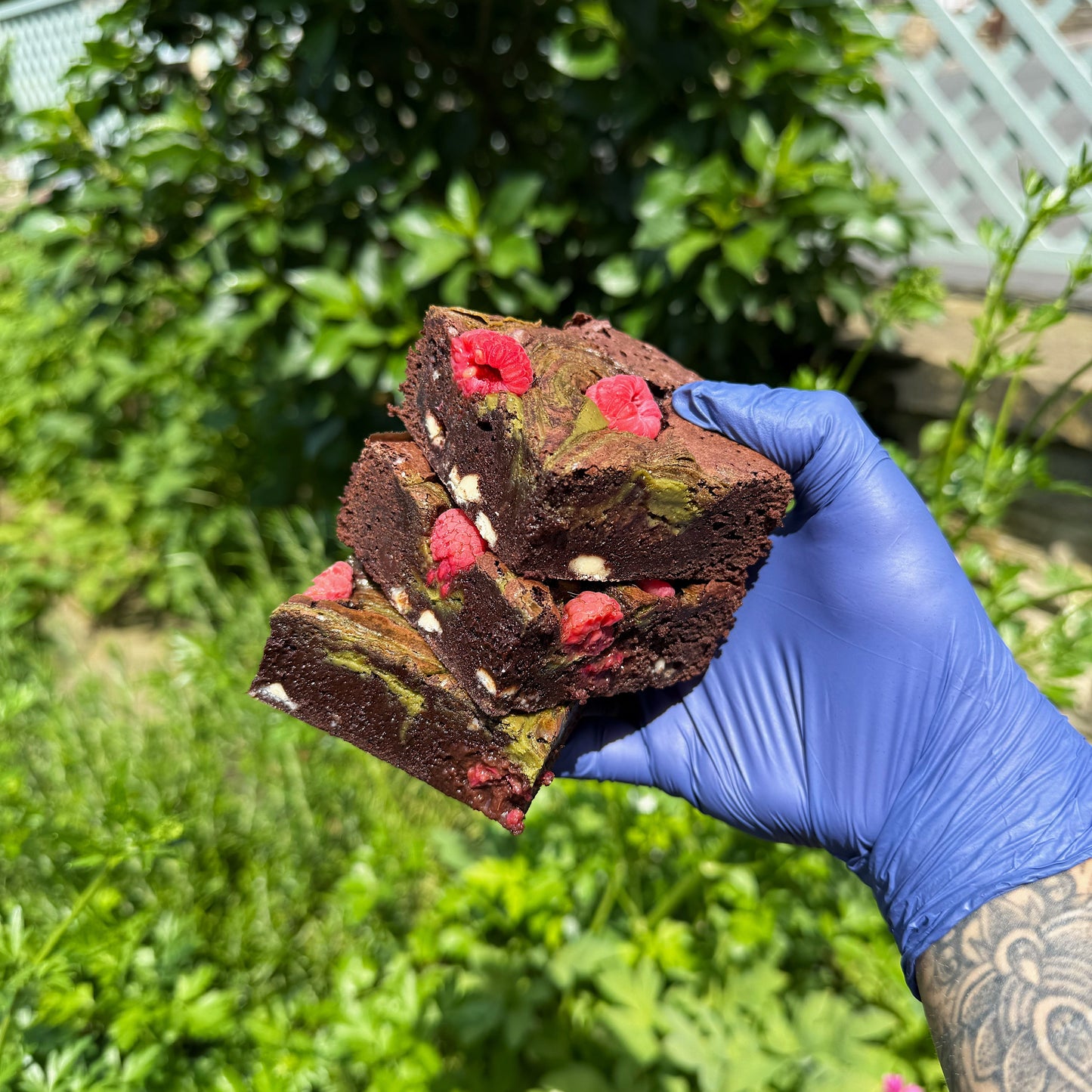Pistachio + Raspberry Brownie
