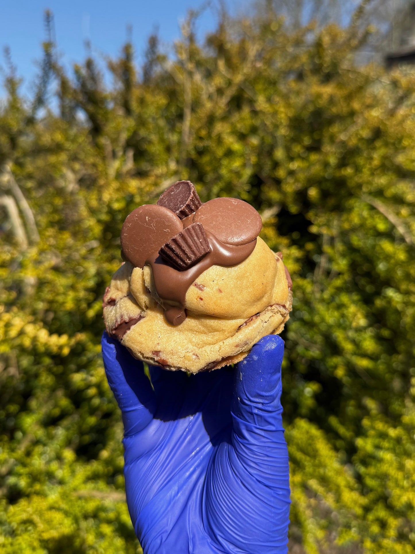Reeses Peanut Butter Crunch Cookies