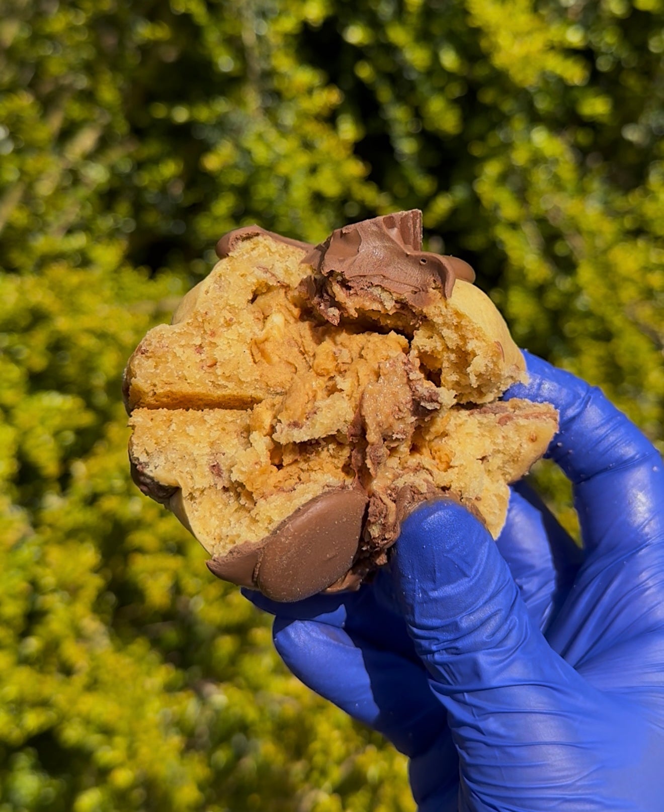 Reeses Peanut Butter Crunch Cookies